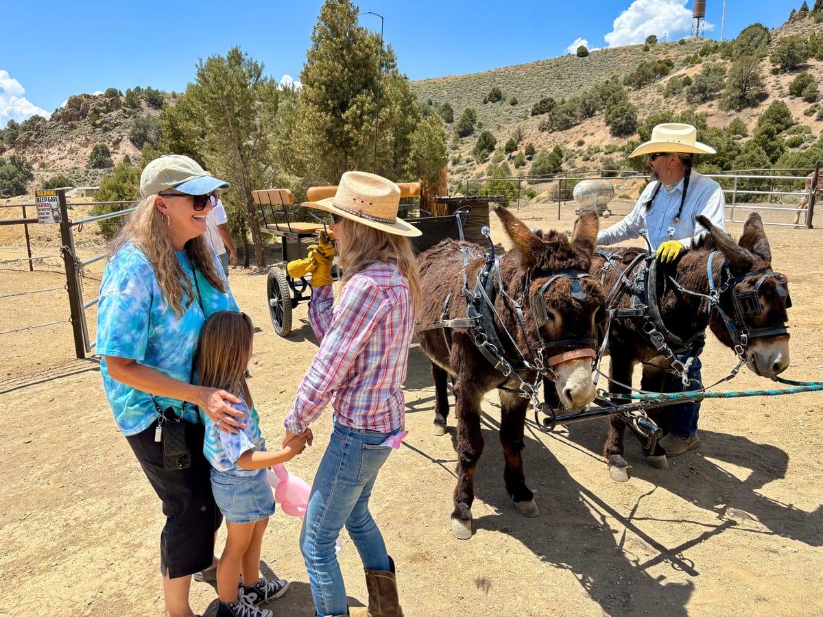 The Wild Charm of Desert Rose Ranch