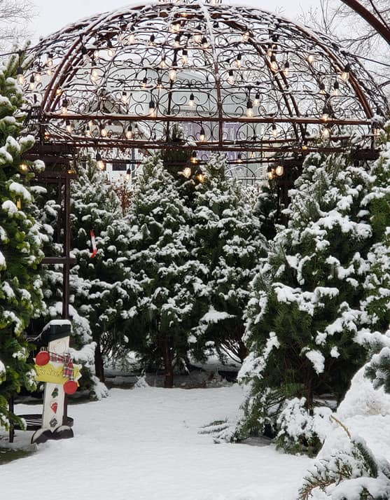 Community Roots Hosts Holiday Open House Dec. 6 and Dec. 7