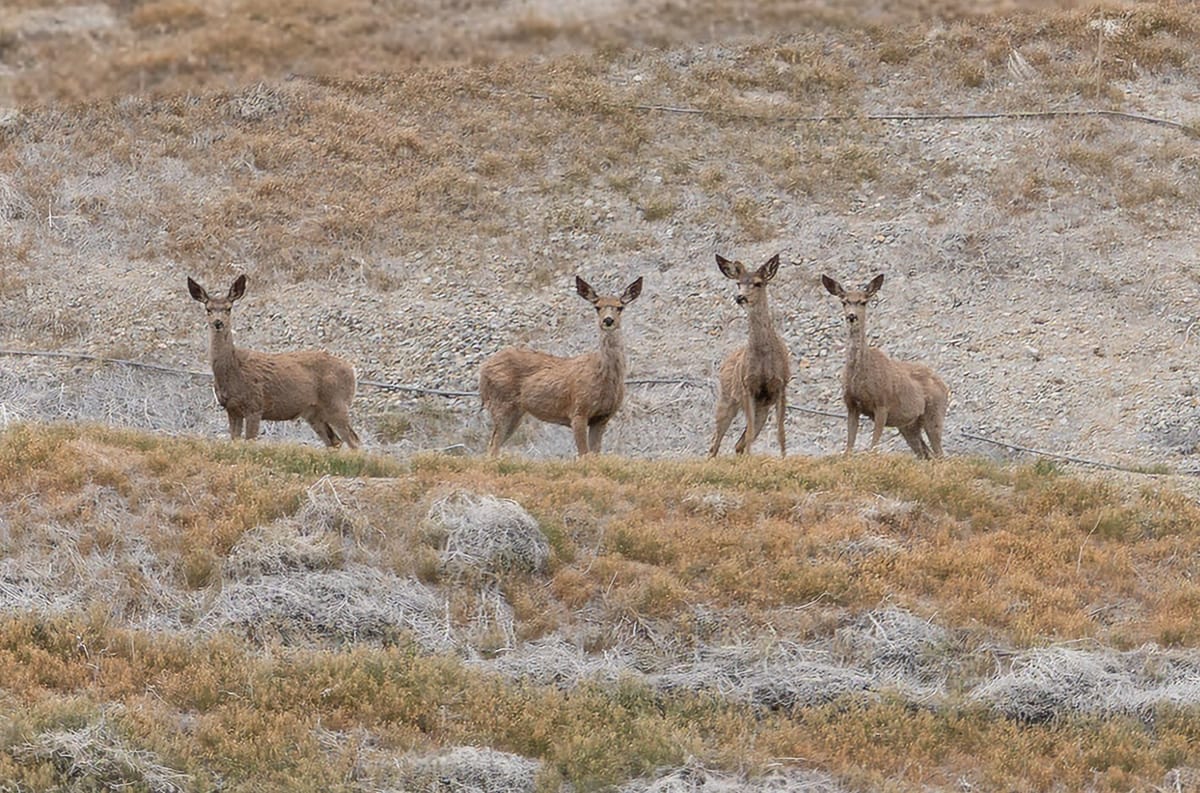 Restoring the Land That Built a Legacy