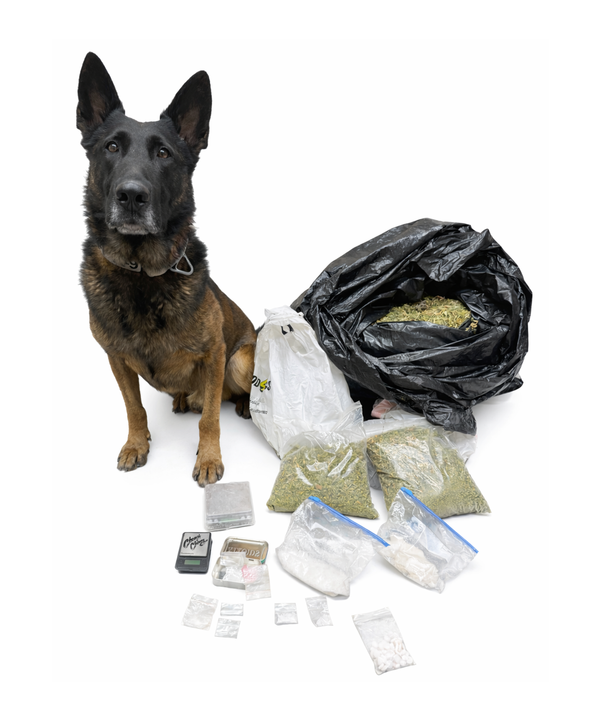 *****Press Release*****