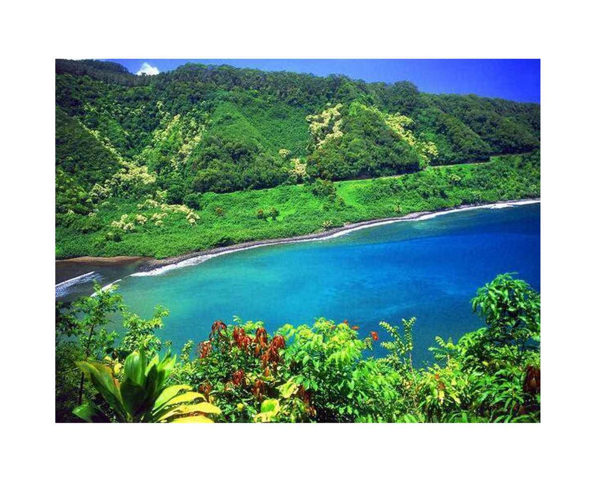 PINE NUTS: The Day We Lost Born Again Smitty