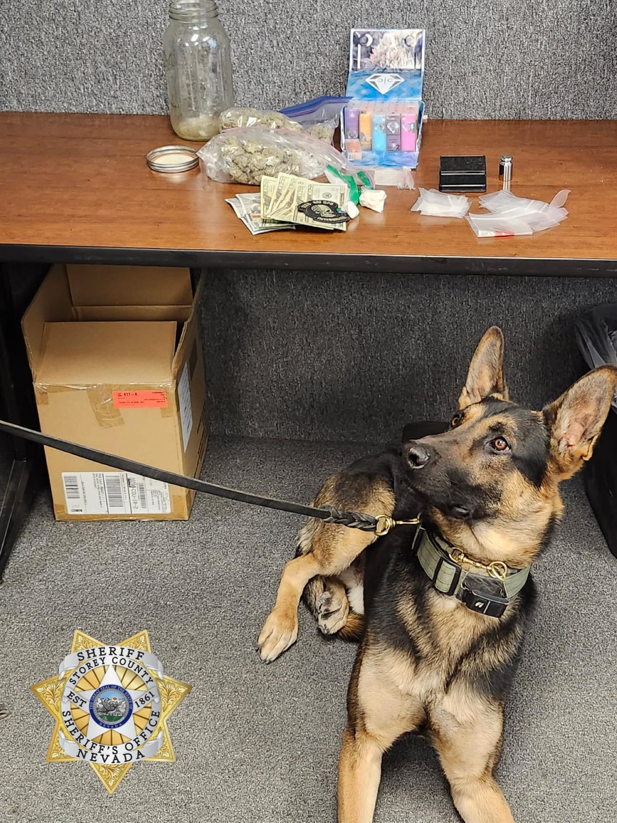 Don't Sell Drugs in Storey County