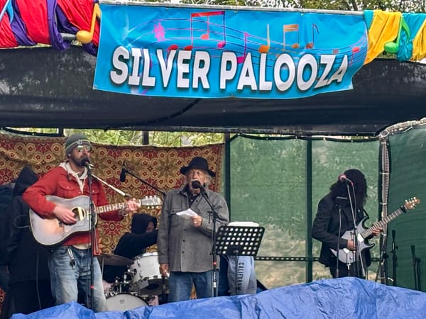 Silver Palooza Music and Art Festival 2025