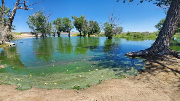 Nevada State Parks Issues HAB Warning Advisory
