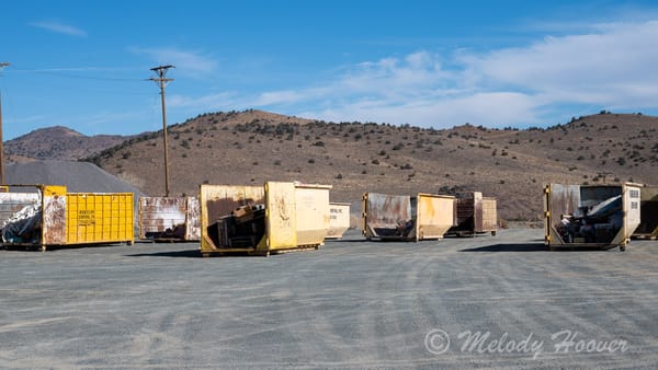 Green Waste Dump Days