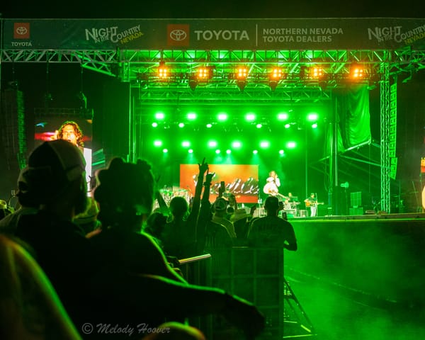 Night In The Country Wraps Up