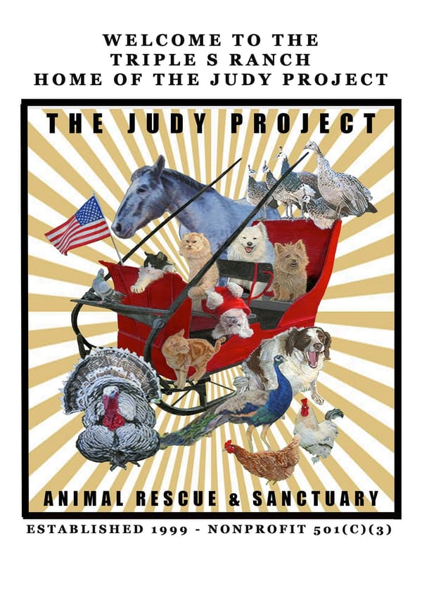 Local Nonprofit Focus: The Judy Project