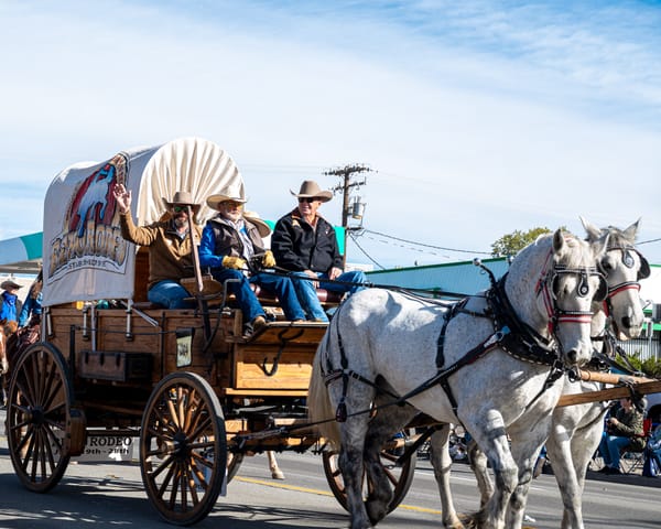 Celebrate Nevada Day on Nov 1, 2025