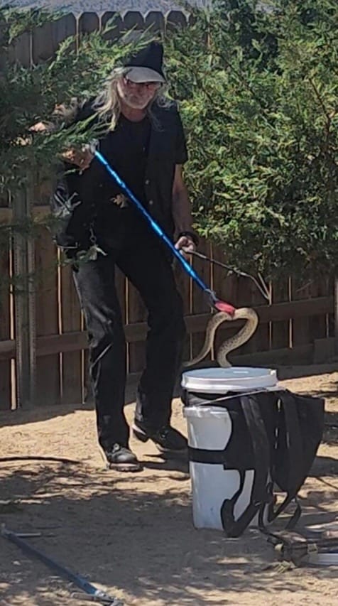 Got Snakes?