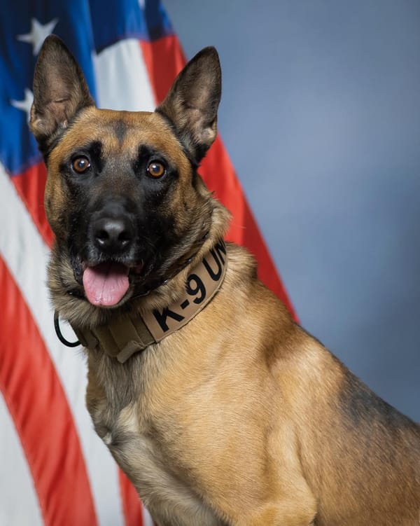 Honoring the Retirement of K9 Borys – A Faithful Partner and Friend
