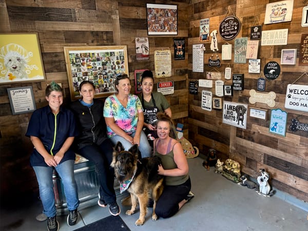 Local Business Focus: Scooby Dooz Dog Grooming