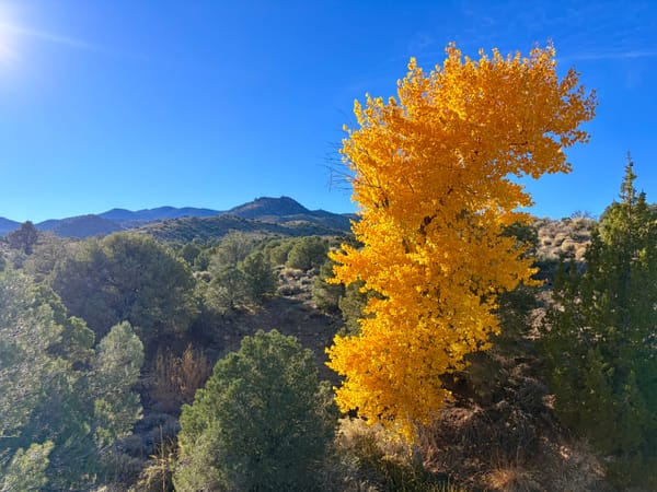 Entertainment Calendar