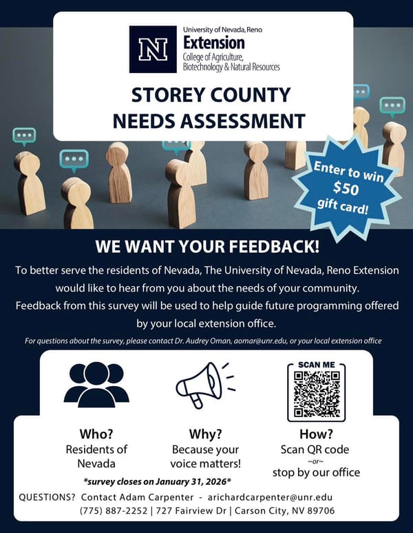 Storey County Needs Assessment