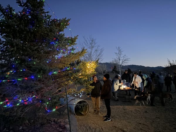 Paws, Lights & Holiday Delights at Dayton Valley Dog Park
