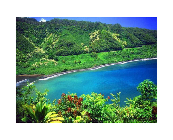 PINE NUTS: The Day We Lost Born Again Smitty