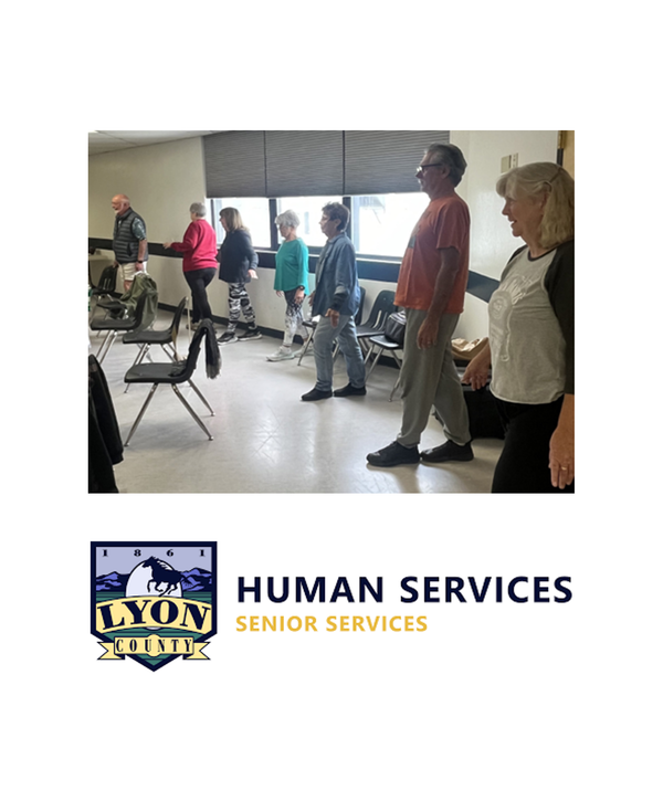 Healthy Steps for Older Adults: Silver Springs Workshop